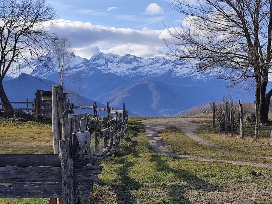 La Grange De L'ours Saint-Lary-Soulan