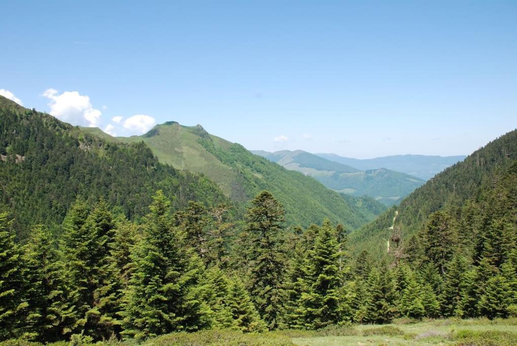 La Grange De L'ours * Saint-Lary-Soulan