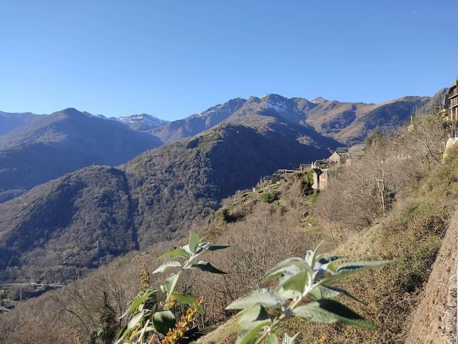 La Grange De L'ours Saint-Lary-Soulan