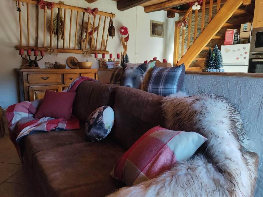 La Grange De L'ours * Saint-Lary-Soulan