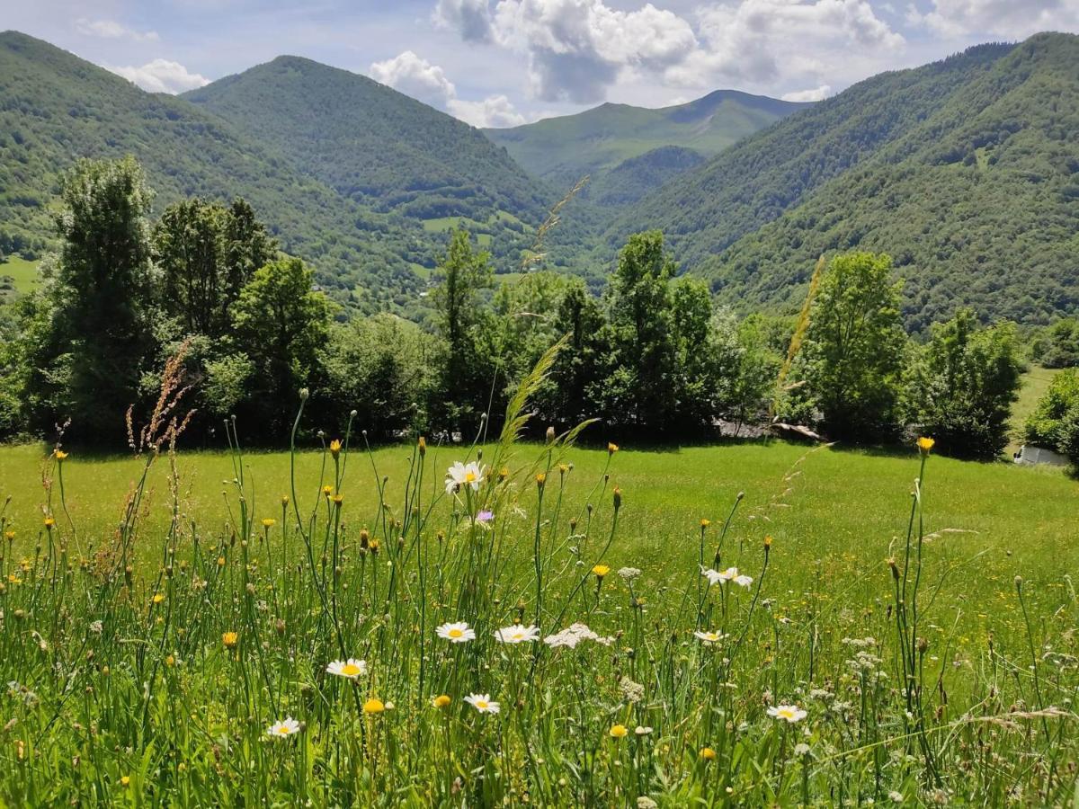 La Grange De L'ours Saint-Lary-Soulan